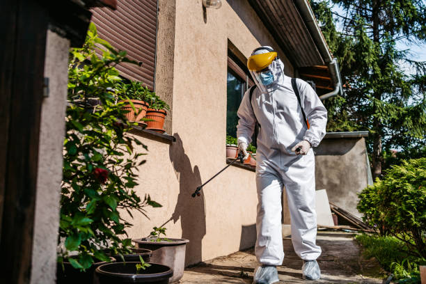 Best Best Pest Control Companies  in Lakefield, MN
