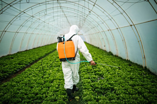 Best Residential Pest Control  in Lakefield, MN