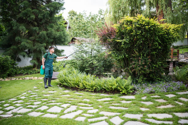  Lakefield, MN Pest Control Pros