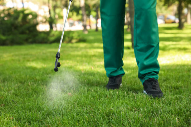 Best Local Pest Control Services  in Lakefield, MN