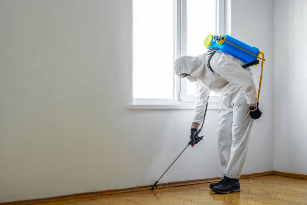 Best Rat Extermination Near Me  in Lakefield, MN