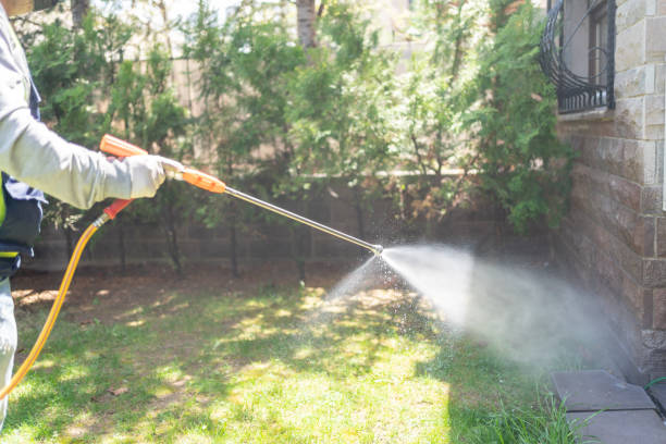 Best Exterminator Services  in Lakefield, MN