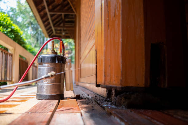 Best Pest Control for Restaurants  in Lakefield, MN