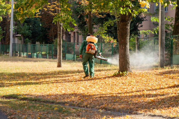 Best Emergency Pest Control  in Lakefield, MN