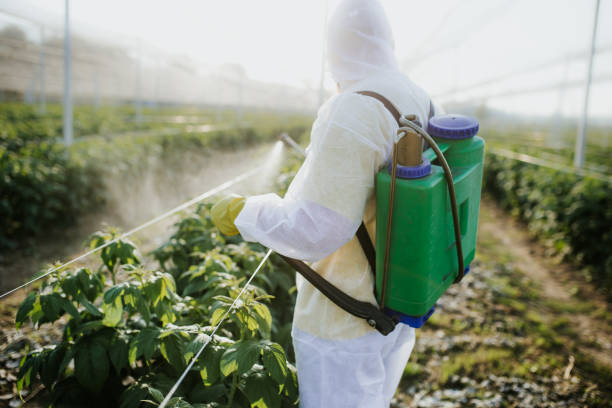 Pest Control for Restaurants in Lakefield, MN